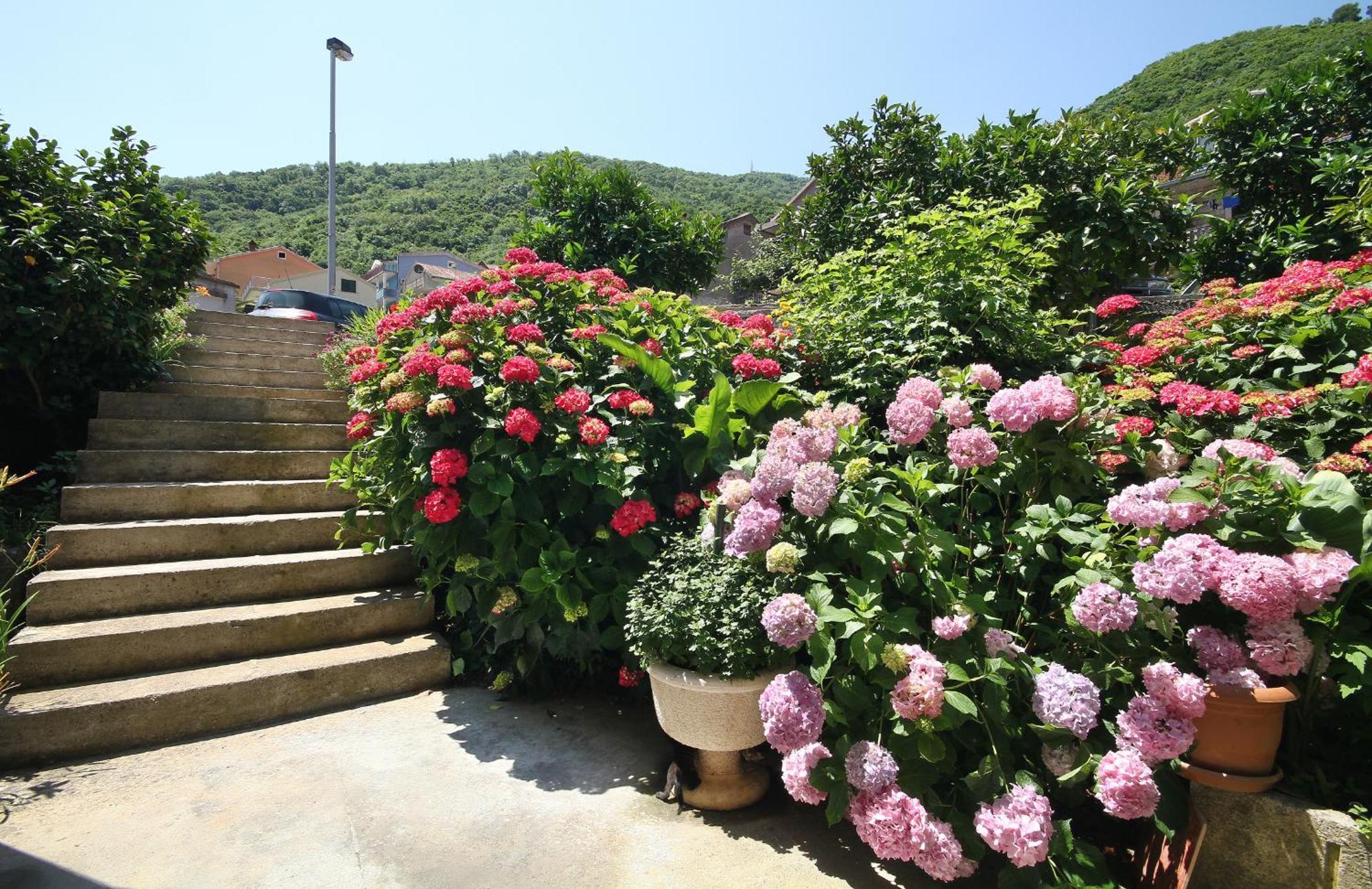 Apartments Raicevic Budva Exterior foto